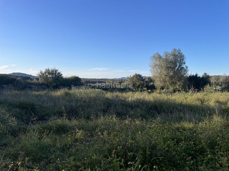 Foto 5dea4b1d-240e-4119-a938-4a221263392e. Masia a carrer major 13 a Manacor centre Manacor