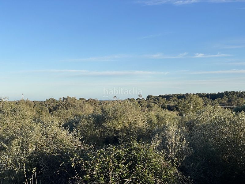 Foto a04685c7-7f95-4200-bf7b-a5603fa976d8. Masia a carrer major 13 a Manacor centre Manacor