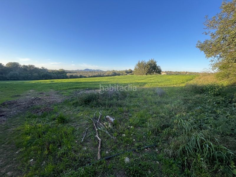Foto abb7d93f-871a-4a6c-a1e4-f926671c99ce. Masia a carrer major 13 a Manacor centre Manacor