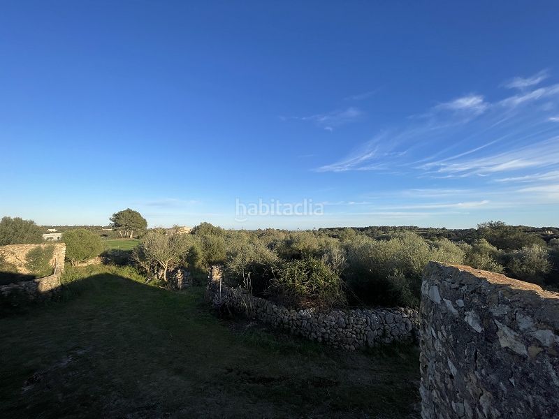 Foto eaf74a1a-f7d0-4823-aa67-4ed782dc29ab. Masia a carrer major 13 a Manacor centre Manacor