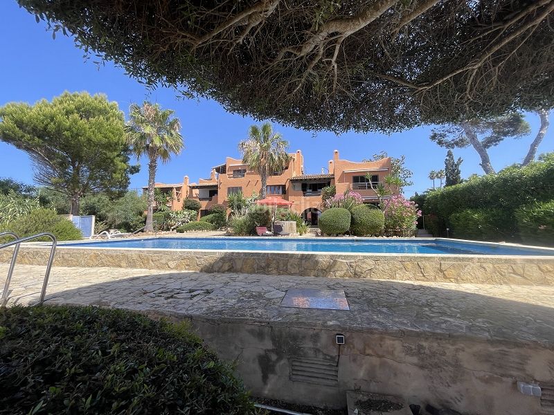 Foto 6ae67bdd-59ad-480d-8249-9c07302d8620. Casa adossada amb xemeneia calefacció aparcament piscina a Llucmajor