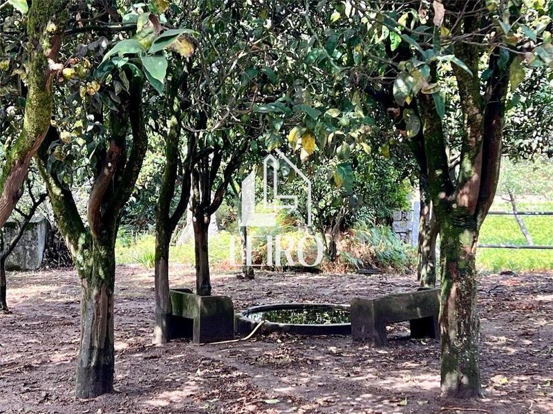 Foto 13484749-7c2f-4b0b-b895-08b2abe7467a. Casa  señorial para restaurar en Sobradelo Vilagarcía de Arousa