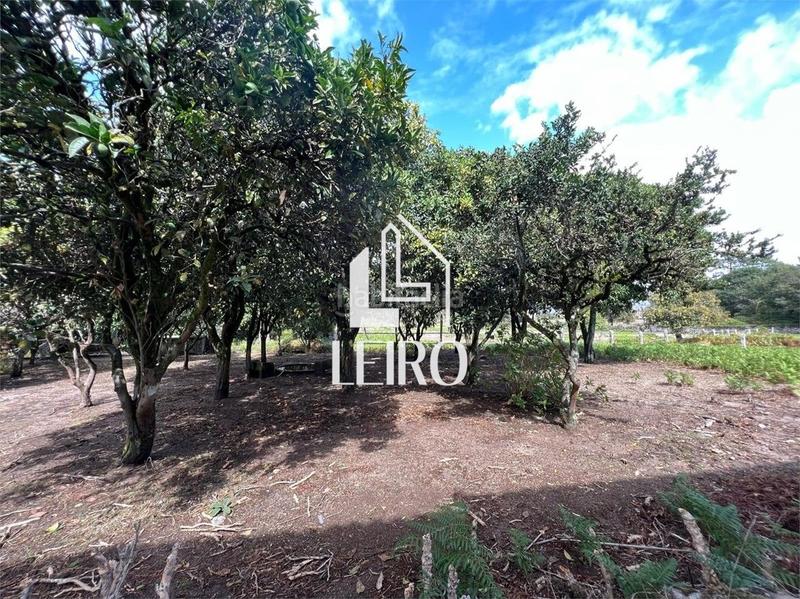 Foto a972fab1-99b9-4fd7-8477-5e076ca68c64. Casa  señorial para restaurar en Sobradelo Vilagarcía de Arousa