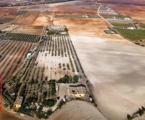 Xalet a Cuervo de Sevilla (El)
