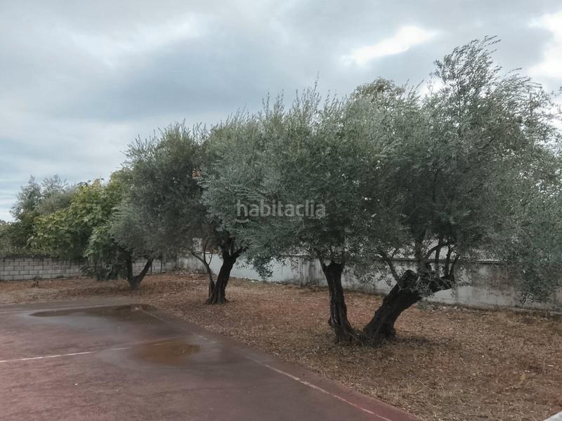 Foto 27c13bdb-c241-4e48-9f04-498996325b2b. Mas avec cheminée chauffage parking piscine dans Alcolea Córdoba