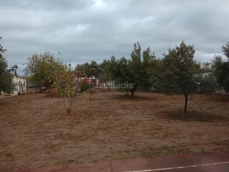 Foto 361cd0a1-2da7-4c4d-a7d7-807b1afc0049. Mas avec cheminée chauffage parking piscine dans Alcolea Córdoba