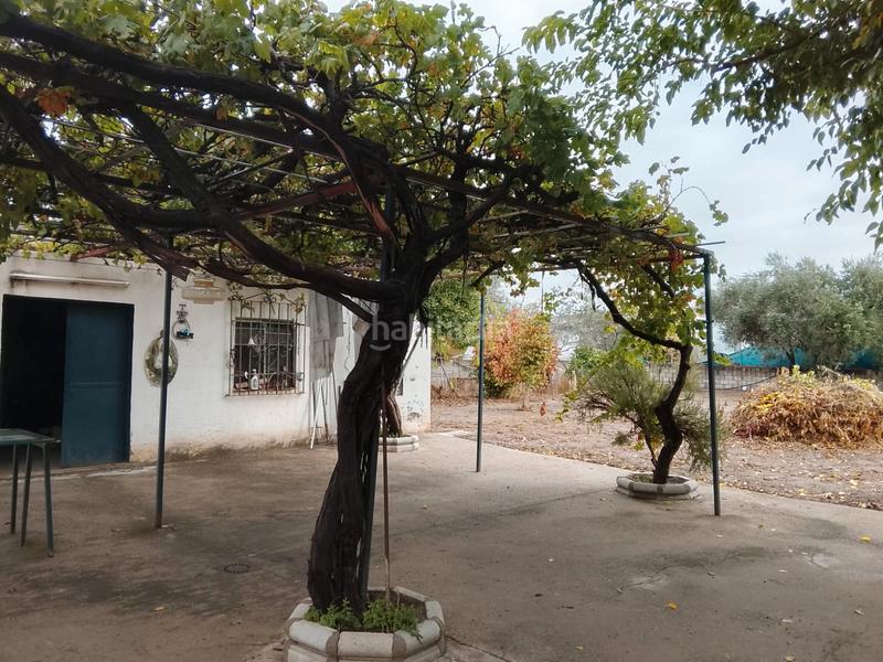 Foto 44c47755-197b-4634-90b8-29341299ca80. Mas avec cheminée chauffage parking piscine dans Alcolea Córdoba