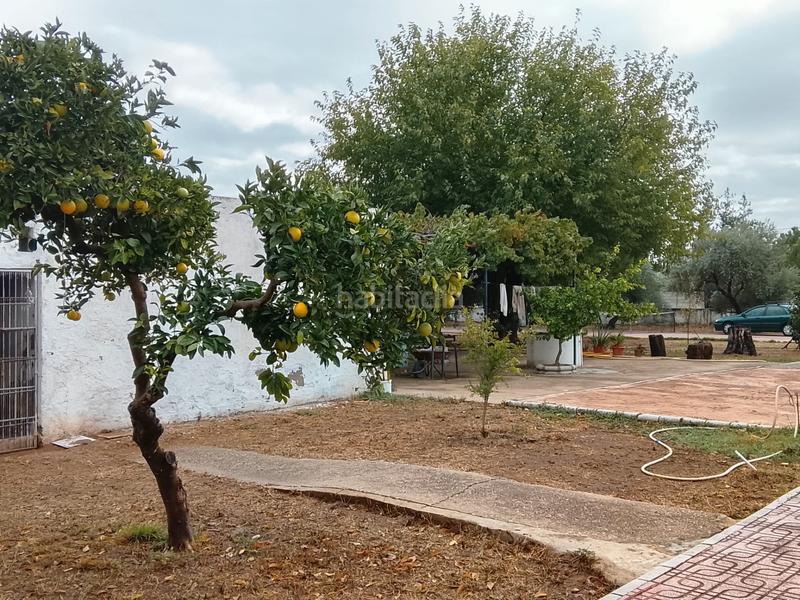 Foto 8989490f-285e-44fe-b4a4-e06019306afc. Mas avec cheminée chauffage parking piscine dans Alcolea Córdoba