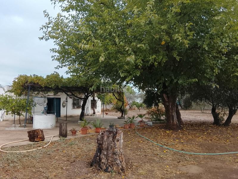 Foto a1e67ea3-43ca-4d5f-9c80-9d6cebd0f2dd. Mas avec cheminée chauffage parking piscine dans Alcolea Córdoba