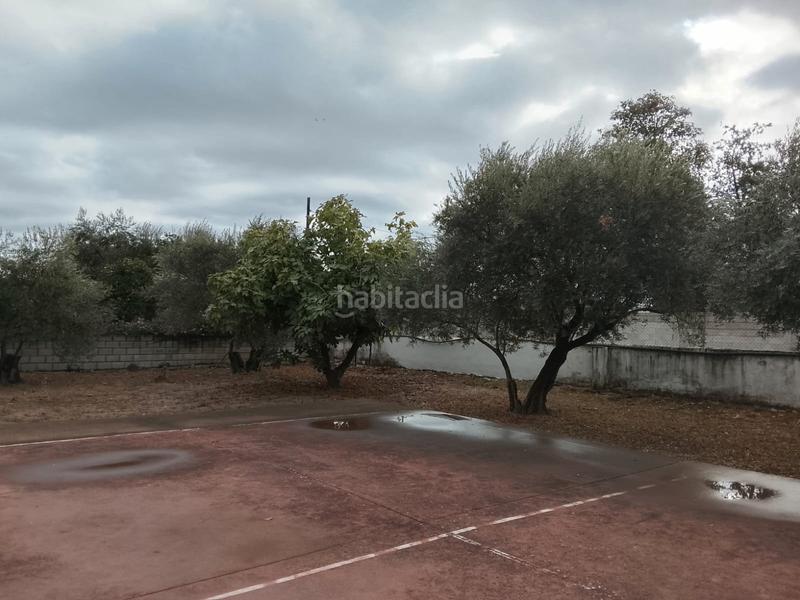 Foto b2990278-9f07-4f11-bae3-436add82af63. Mas avec cheminée chauffage parking piscine dans Alcolea Córdoba