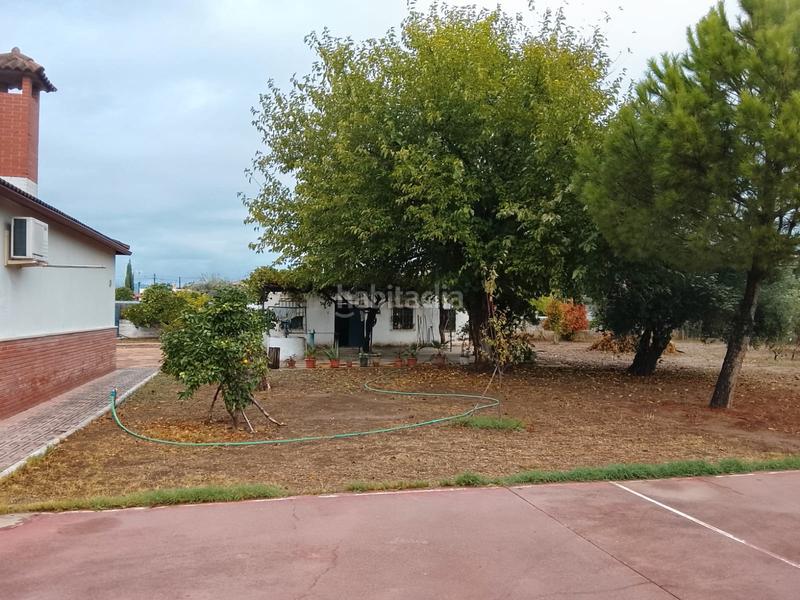 Foto b9ded305-1849-496f-bc62-15b527beedd7. Mas avec cheminée chauffage parking piscine dans Alcolea Córdoba