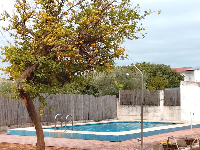 Foto e7bc6ffa-7adb-404a-a6ac-9bbc664ef92c. Mas avec cheminée chauffage parking piscine dans Alcolea Córdoba