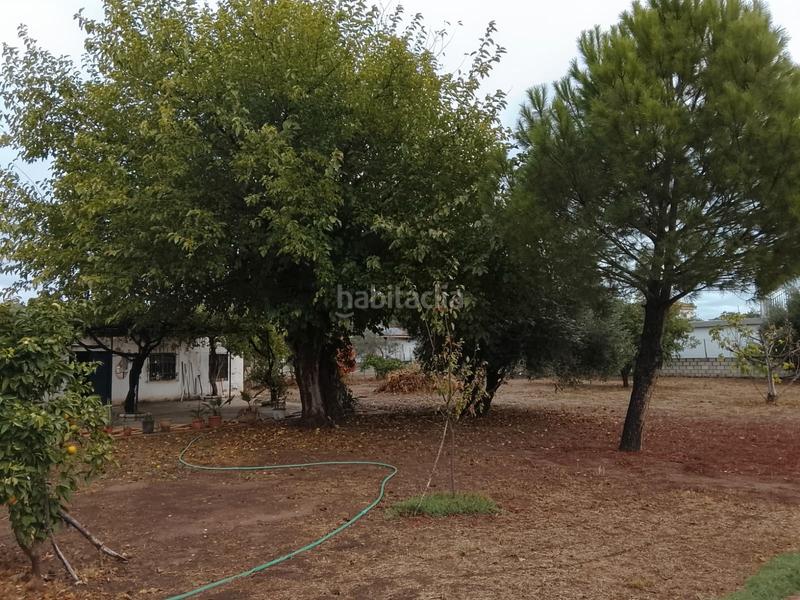 Foto e8246513-f337-4908-9bb5-4c597ca3e88c. Mas avec cheminée chauffage parking piscine dans Alcolea Córdoba