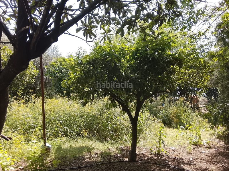 Foto 91dd1395-6fee-4687-b4d6-7fa768c5691c. Xalet amb xemeneia aparcament piscina a Villarrubia Córdoba