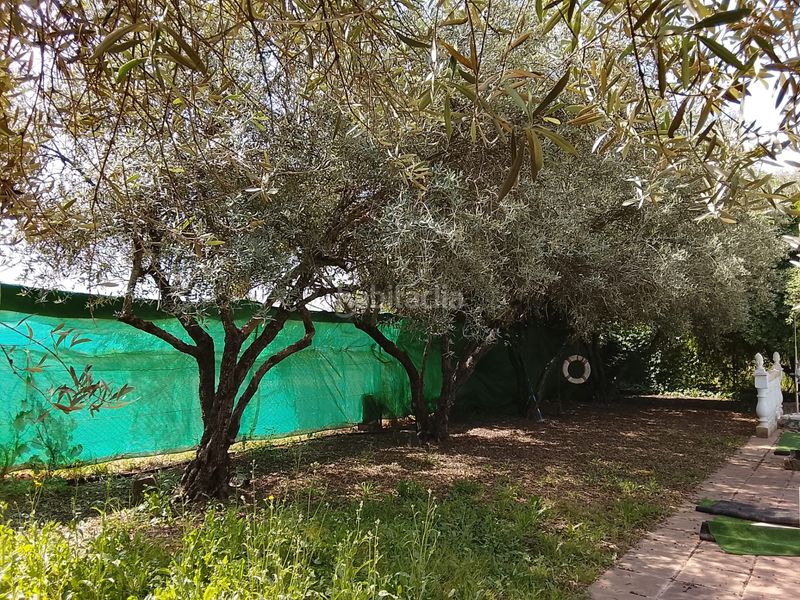 Foto bf500d09-f7a7-4f00-a94b-c0fab5fb70c1. Xalet amb xemeneia aparcament piscina a Villarrubia Córdoba