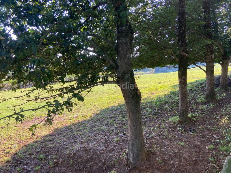 Foto 0392f222-f226-4f58-abe6-fcddbed1d5d6. Terreny residencial a Lalín