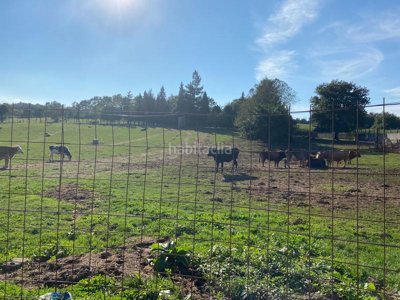 Foto 7b371f82-60b9-45ad-bc6b-12647c6fb56f. Terreny residencial a Lalín