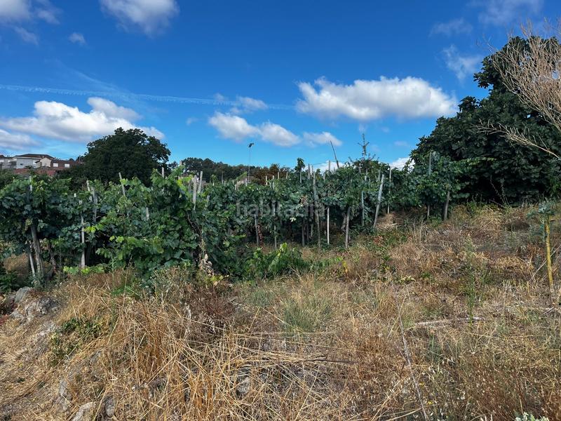 Foto 43574bb9-4950-4f3f-83c5-5dde31fec7c1. Masía casa con viñas en punxinourense en Punxín