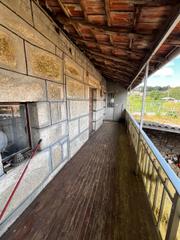 Mas à Punxín. Casa con viñas en punxinourense
