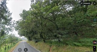 Fondo rustico in Vila de Cruces. Se vende finca rústica ,parte de ella pinar maderable merza