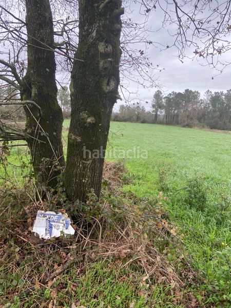 Foto d6fc501e-e6ec-4720-8389-793d4b4d181d. Finca rústica a Lalín