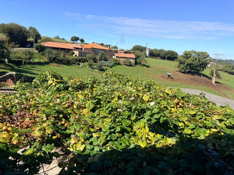 Foto b5e3f390-bcf9-4d60-9e3e-7bce8b2364cf. Casa a Silleda