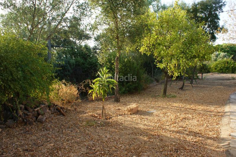 Foto 4c09c399-8228-4dd5-a28c-24f02023f2d9. Xalet amb aparcament a Valverde del Camino