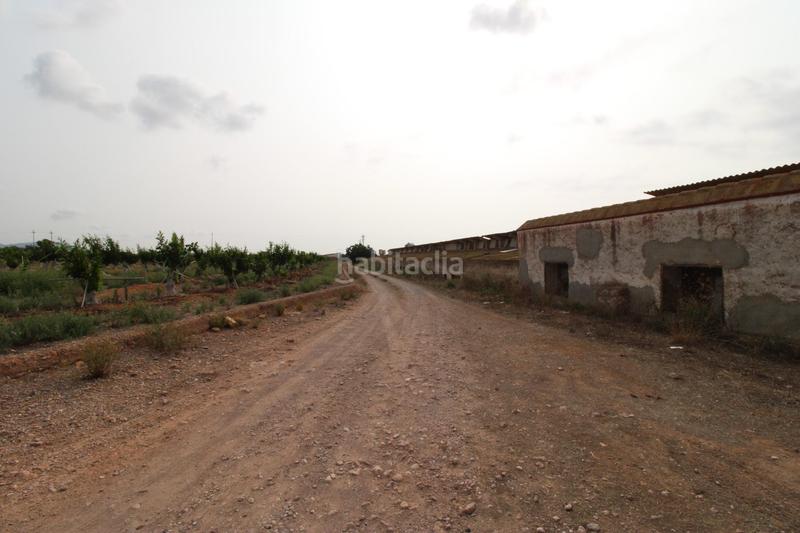 Foto 0397a469-924d-46a3-8216-001621ade86e. Finca rústica terreno a 5 min de moncada en Foios