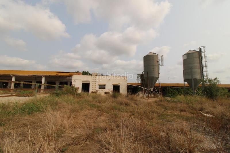 Foto 3e682ed1-f064-4d69-b4e2-311995ad50f8. Finca rústica terreno a 5 min de moncada en Foios