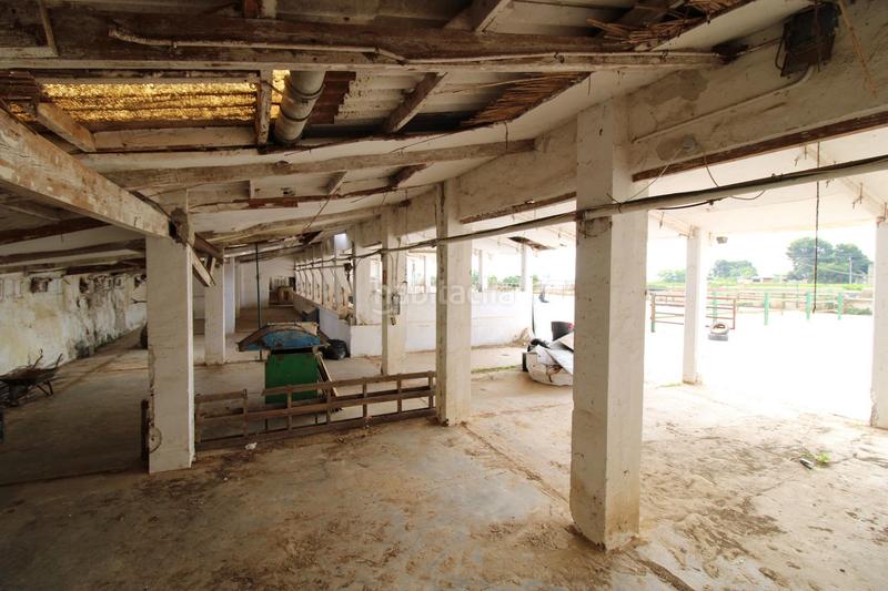 Foto 412267d7-f7d3-4a7b-b08b-6908643b0ebe. Finca rústica terreno a 5 min de moncada en Foios