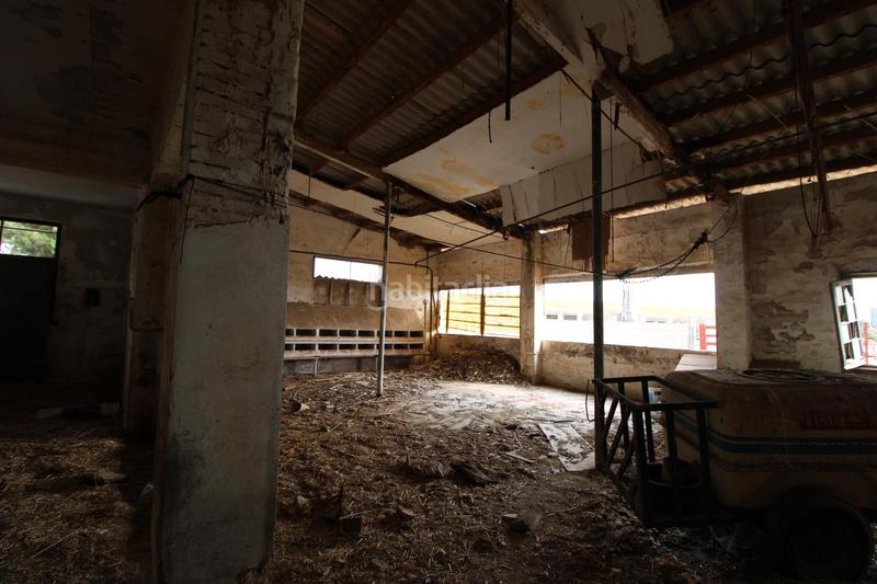 Foto 42078ec8-07f1-4351-87f9-b61220b84c8f. Finca rústica terreno a 5 min de moncada en Foios