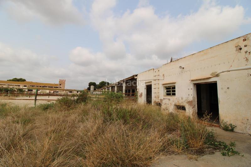 Foto af63c71b-83c4-44b3-808f-150ad8e637ea. Finca rústica terreno a 5 min de moncada en Foios