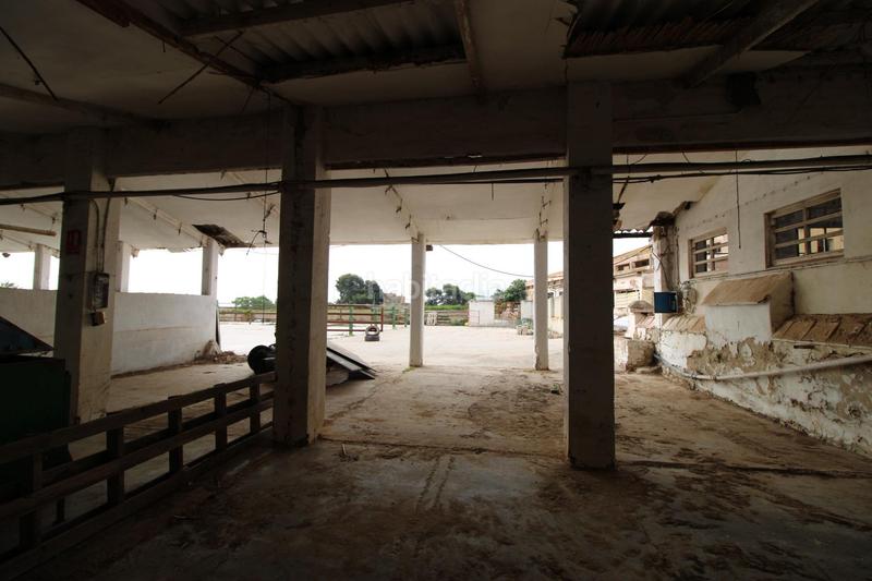 Foto b86ea143-ff58-4344-b245-65055c6a7642. Finca rústica terreno a 5 min de moncada en Foios