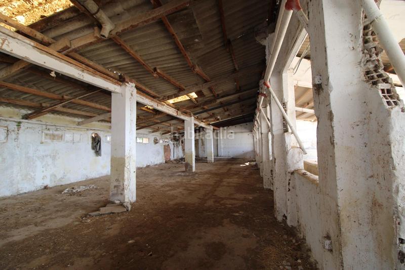 Foto bc648d6a-9bc3-4b57-8a94-634ffc9ab713. Finca rústica terreno a 5 min de moncada en Foios