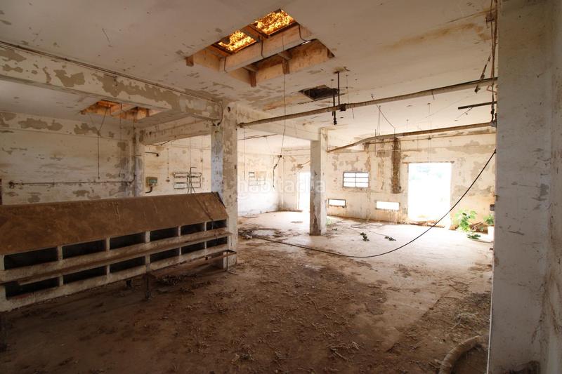 Foto c1e11d03-364b-4cdb-be8b-7d802fe6489a. Finca rústica terreno a 5 min de moncada en Foios