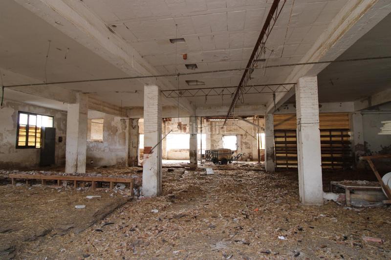 Foto d571ae94-eb19-4af1-8d54-2d57df258719. Finca rústica terreno a 5 min de moncada en Foios