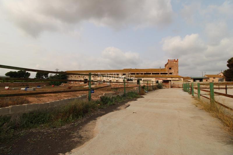 Foto d70ff57d-36ff-4639-b04f-fd2c29f2db12. Finca rústica terreno a 5 min de moncada en Foios