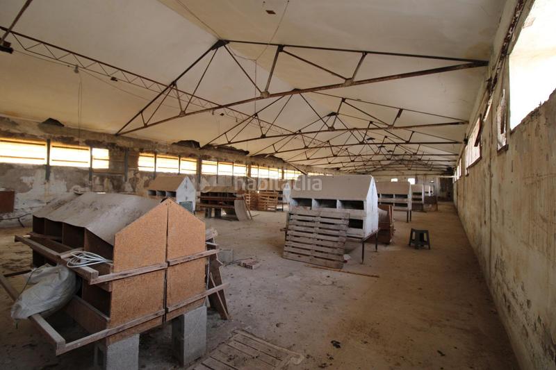 Foto dddebbc9-97a3-4f38-807b-824c4903e861. Finca rústica terreno a 5 min de moncada en Foios