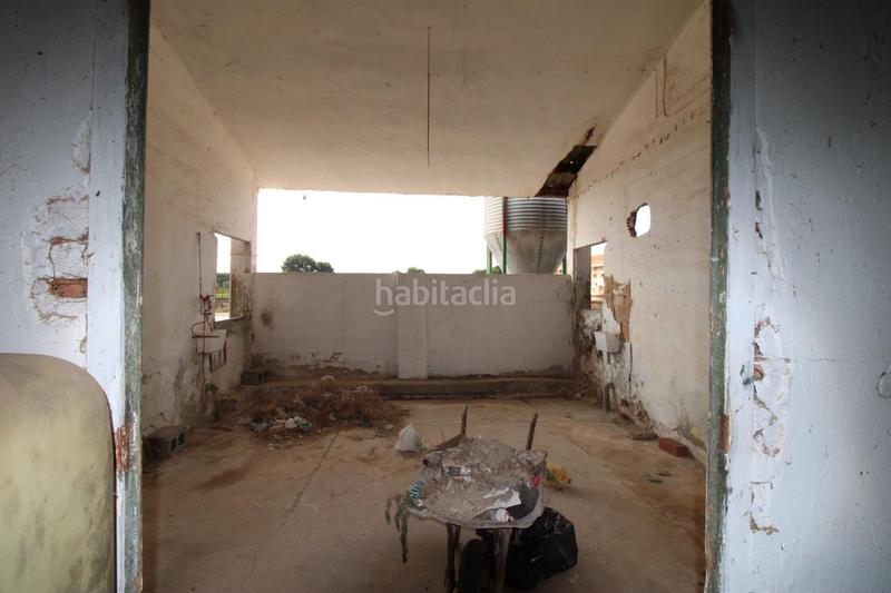 Foto e732ed79-345a-413b-bd58-353caa77422d. Finca rústica terreno a 5 min de moncada en Foios