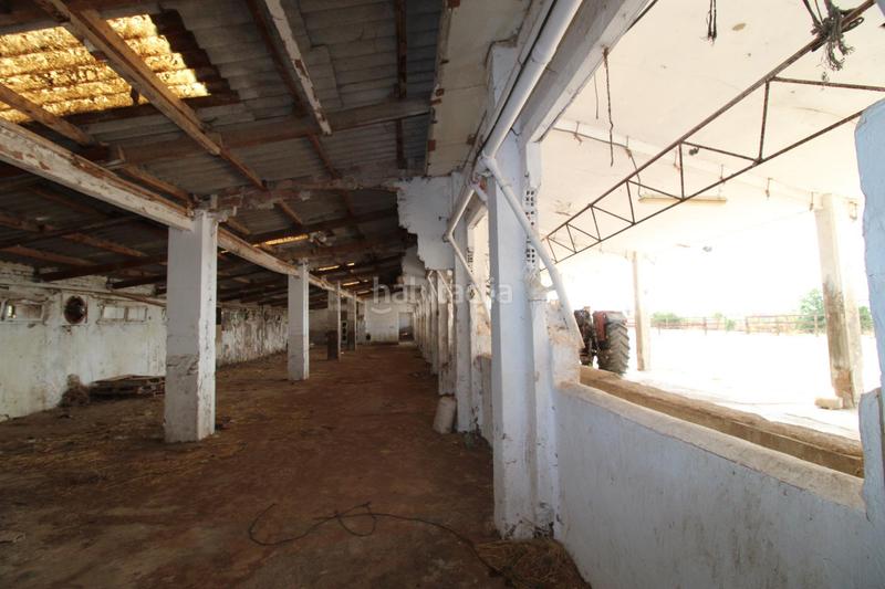 Foto f040ba75-4c13-425c-816c-a0b0d7c8dcd6. Finca rústica terreno a 5 min de moncada en Foios