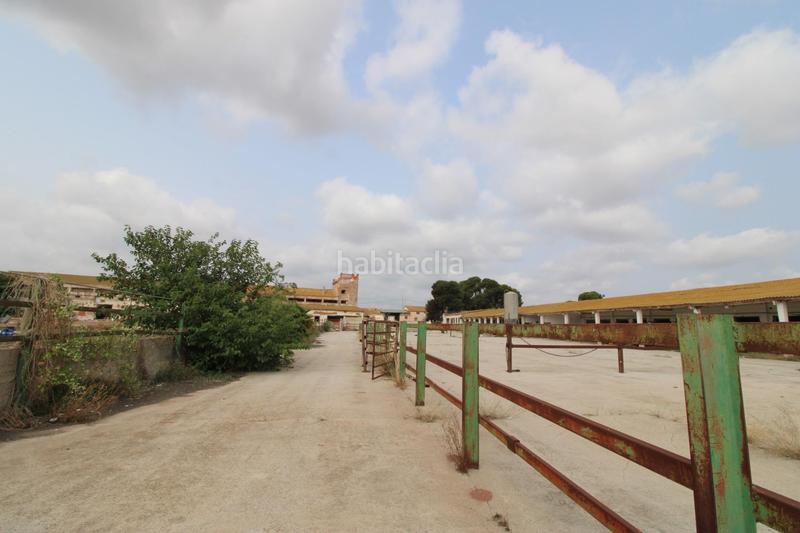 Foto fc5c5a05-0832-42b3-9063-f8b0beb48aea. Finca rústica terreno a 5 min de moncada en Foios