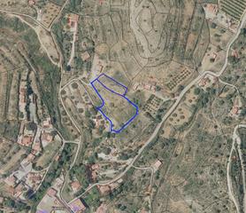 Finca rústica a Camino barranquillo 119. Venta de terreno en pedralba