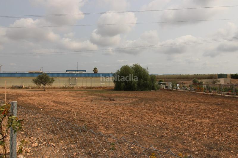 Foto a19527b1-8a08-446d-b5bb-b0ce5ff73413. Finca rústica a Albalat dels Sorells