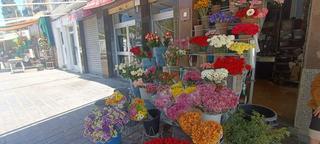 Local Comercial en Camí Reial. Se vende floristería en funcionamiento!