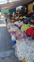 Lloguer Local Comercial a Camí Reial. Traspaso por jubilacion de comercio de ramos y arreglos florales