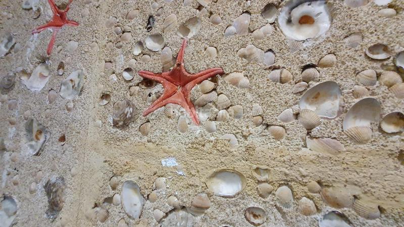 Foto 0127aa25-9482-4c5c-8f7c-a166cc209456. Traspàs local comercial a Malilla Valencia