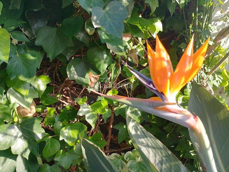 Foto b6104cdf-b43f-4f11-82be-5ec9c66b69e8. Alquiler chalet alquiler temporal chalet en Almenara