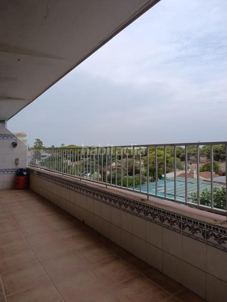 Foto 401caa61-897c-49b5-b4e9-3dc429bedf80. Piso amplio piso con terraza grande en pinomar en Guardamar del Segura