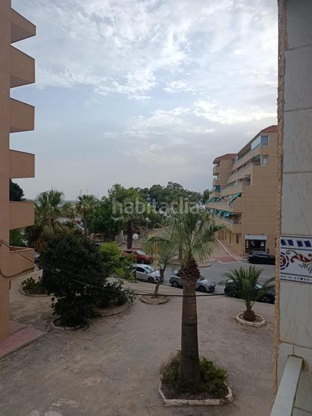 Foto 50d88be7-f99d-4459-bcd2-3e1cb86bc179. Piso amplio piso con terraza grande en pinomar en Guardamar del Segura