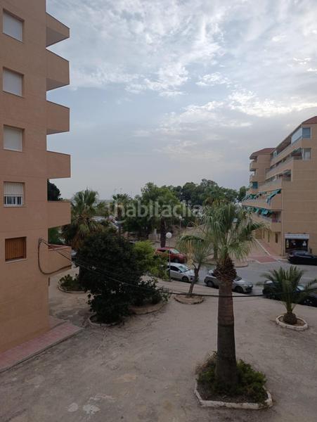 Foto 7ace6c59-d34f-40a6-bc7b-6f5eef2aa8b7. Piso amplio piso con terraza grande en pinomar en Guardamar del Segura